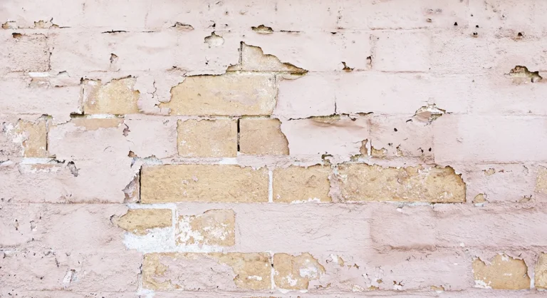 lead paint
