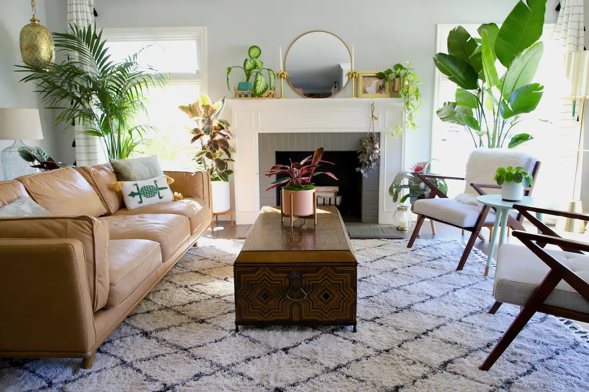 How to Arrange Plants In Your Living Room