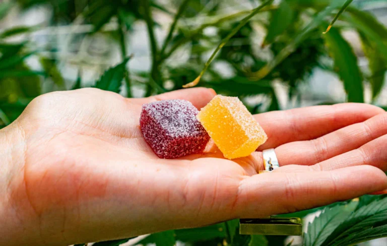 How To Make CBD Gummies