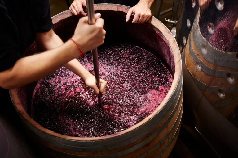 How To Make Wine With Grapes